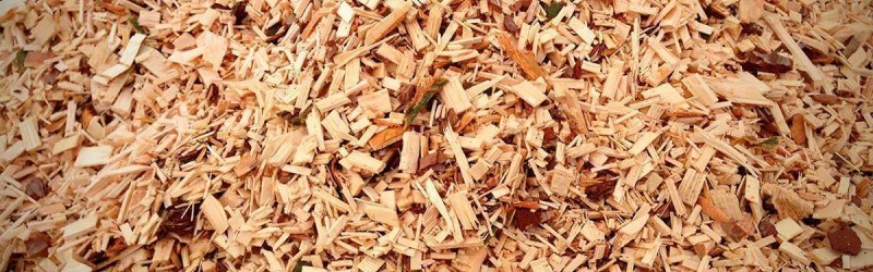 What is Your Choice of the Smoking Wood: Wood Dust or Wood Chips?